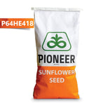 P64HE418
